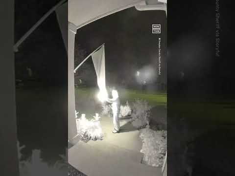 Police Launch Hate Crime Probe After Homeowner's Pride Flags Were  Targeted Twice