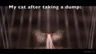 Eurovision 2024: Most Memeworthy Moments