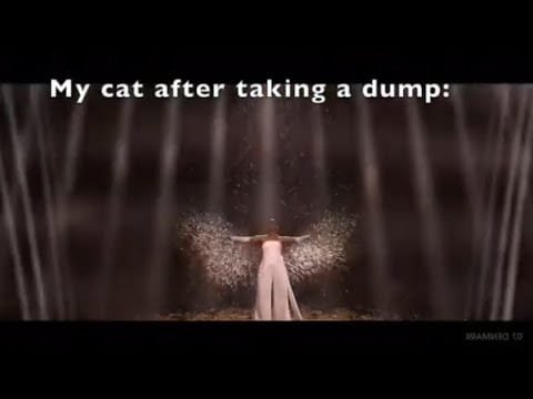 Eurovision 2024: Most Memeworthy Moments