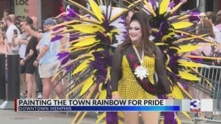 Memphis pride festival paints the city in color